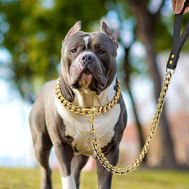 304 Stainless Steel Dog Chain Set: Choke Collar & Leash in Gold