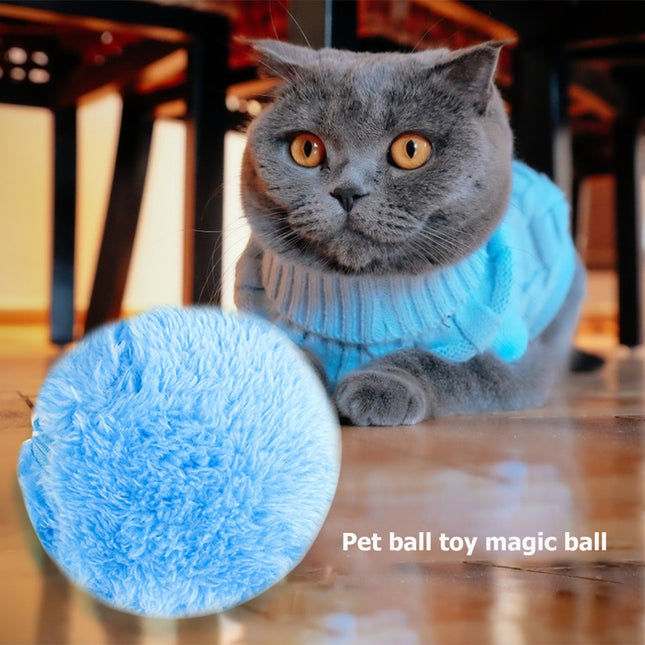 Magik Auto Pet Ball