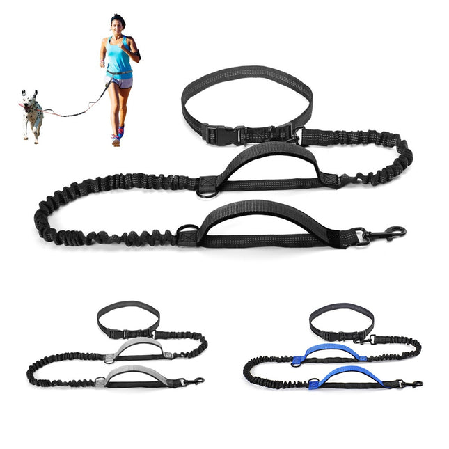 Hands Free Dog Leash