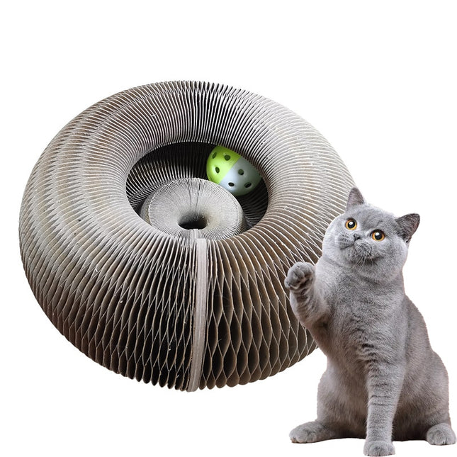 WhiskerWiz: Cat Claw & Play Board with Ball