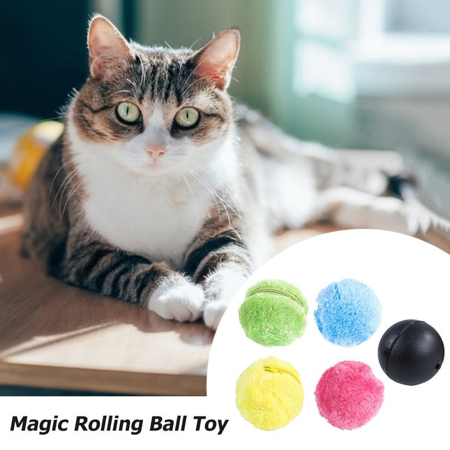 Magik Auto Pet Ball