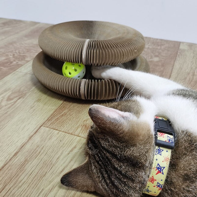 WhiskerWiz: Cat Claw & Play Board with Ball